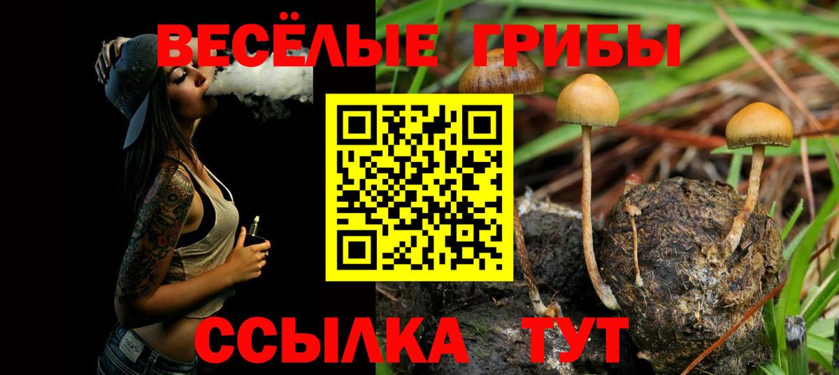 Кузнецк  где купить наркотик  Псилоцибиновые грибы MAGIC MUSHROOMS  Вход с VPN  Галлюциногенные грибы мухоморы 